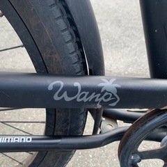 ビーチクルーザーwanp246