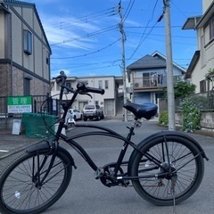 ビーチクルーザーwanp246