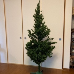 大きなクリスマスツリー　【取引先決定しました】