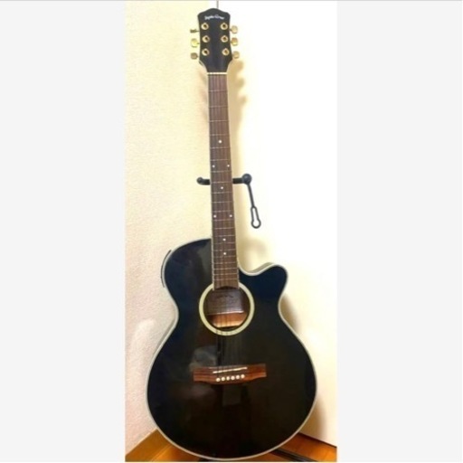 ほぼ新品/調整済み】RECORDING KING RDS7 ブラック アコギ