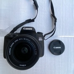 Canon EOS8000D 美品 【本日価格】