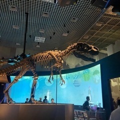 古生物や恐竜🦖が好きな人集まれ〜✨ - 新宿区