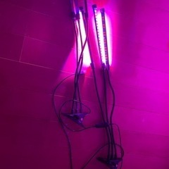 植物栽培用LED 赤、青、紫三色点灯+光量10段階調整+タイマー...