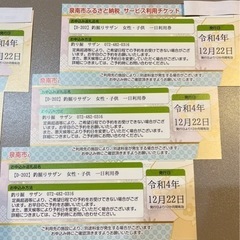 釣り堀サザン　1日利用券　男性　女性