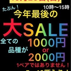 今年最後のメダカ販売！