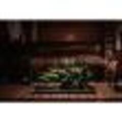 ＧＥＸ　aquarista　Ga Glassterior TS 900　大型水槽