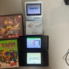 任天堂　Nintendo ニンテンドーDSlite ニンテンドー...