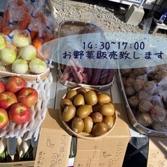 無人販売、新鮮野菜販売開始致します