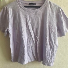 トップスTシャツ紫パープルLサイズ