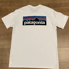 Patagonia　ロゴポケットT