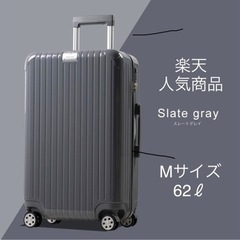 【新品未使用】グリフィンランド　スーツケース