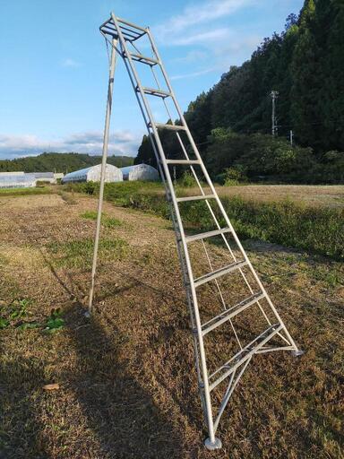 剪定　脚立　三脚　ハシゴ　10尺　アルミ