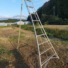 剪定　脚立　三脚　ハシゴ　10尺　アルミ