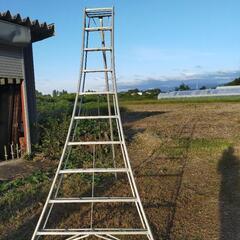剪定　脚立　三脚　ハシゴ　10尺　アルミ