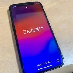 本日限り SIMフリーiPhone12mini 256GB