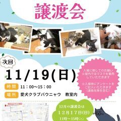 つるみ・猫のカギしっぽ譲渡会11月19日　 JR鶴見駅西口から徒...