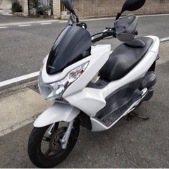 HONDA pcx125 白色　125cc メットインスクーター...