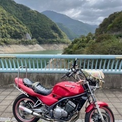 【ネット決済】kawasaki バリオス1型 250cc 純正カラー