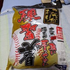 野球用の練習着（ズボン）