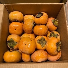 柿。箱の中からランダムで10個。