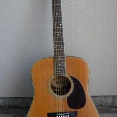 アコースティックギター　MORRIS W-30 エレアコ仕様