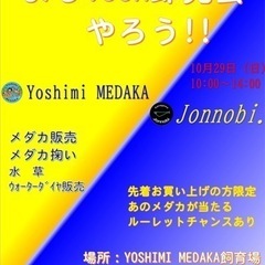 10/29（日）2社合同メダカ即売会