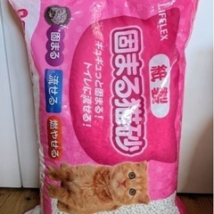 猫の砂　紙製　17L 値下げしました!