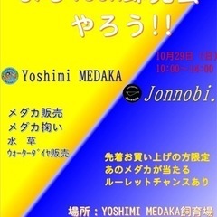 10月29日(日) メダカ即売会　