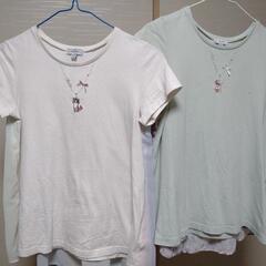 【anyFAM　Tシャツ２枚セット】女の子150センチ