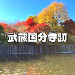 武蔵国分寺公園の紅葉散歩と武蔵国分寺の史跡・遺跡巡りをします！展...