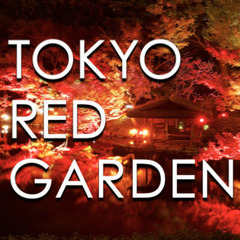 八芳園のライトアップされた日本庭園「RED GARDEN」で紅葉...