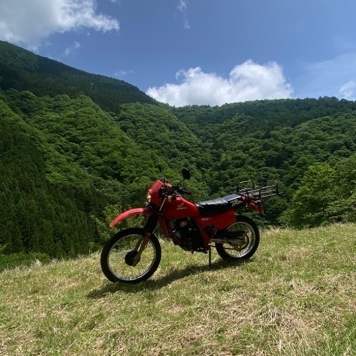 XL125R ビンテージオフロード 程度良好！ 自賠責付き 即戦力 CT110 CT125 ハンターカブ XL125R ビンテージオフロード 程度良好！ 自賠責付き 即戦力 CT110