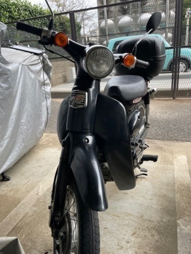 リトルカブ　50