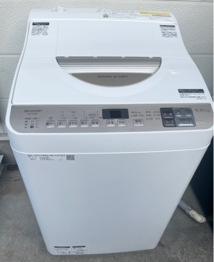 SHARP 2019年製 洗濯機 5.5kg