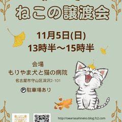 【守山区】11/5 ねこの譲渡会