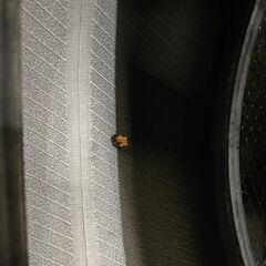 YOKOHAMA BluEarth RV-03 205/60R16 16インチ 夏タイヤ 4本 22年製 バリ溝 ステップワゴン ヴォクシー ノア プリウスα等　(TH947)クレジットカード QRコード決済可能