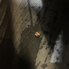 MAXXIS Creepy Crawler LT マキシス クリーピークローラー 6.50R16 LT M&S 16インチ 夏タイヤ 4本 バリ溝 ジムニー等　(VTY662)クレジットカード QRコード決済可能