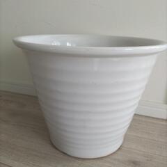 大きい陶器乳白色植木鉢