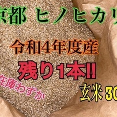 古古米4袋【本場秋田県産あきたこまち】玄米30キロ✖︎4袋＝120キロ