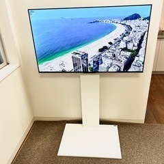 10月末までの支払いで4.5万円【買って半年未満の美品】