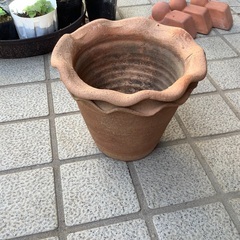 植木鉢　1