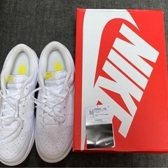 【ネット決済・配送可】Air Dunk Low