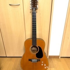 Yamaki Deluxe 215 12弦ギター 弦はご自分で購...