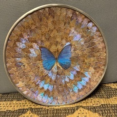 蝶の羽根のプレート　ブラジル製