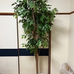 人工観葉植物 210cm 木チップ付き