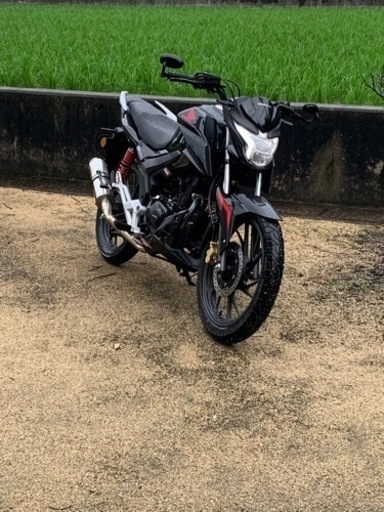最終値下げ cbf125r cbf 125cc ホンダ 極上車 自賠責付き可能 陸送可