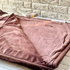 日立 2way電子コントロール毛布 HLM-202MK