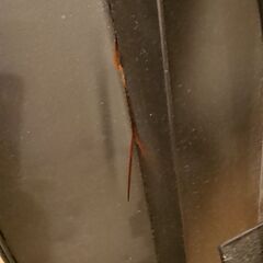 トレーニングベンチ　ウエイト　ダンベル