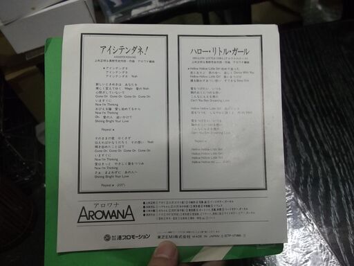 CA148 佐藤忠良 画集 オリジナルエッチング1葉付 講談社