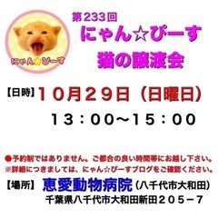 10月29日(日)🌸にゃん☆ぴーす猫の譲渡会🌸「恵愛動物病院」八...